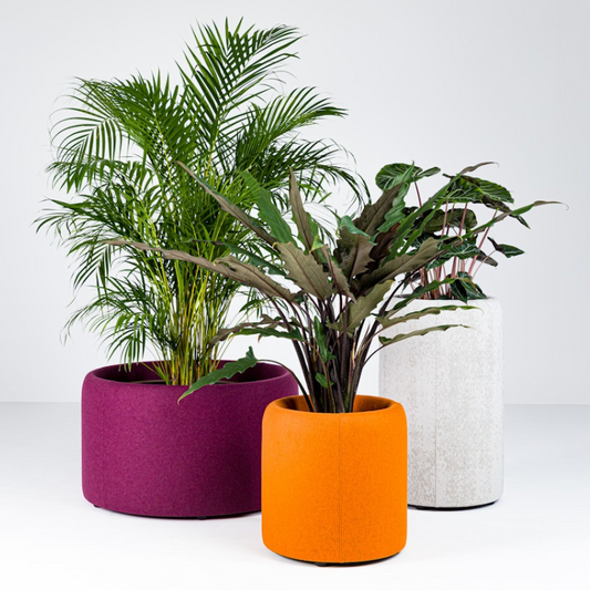 Muffle Acoustics Limited - BuzziSpace BuzziPlanter Acoustic Plant Pot - Muffle Acoustics Limited 