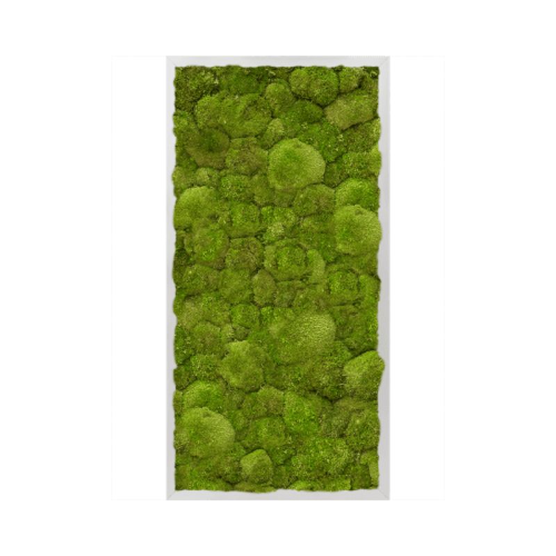 MuffleMoss Rectangle | Wall Panel - Bun