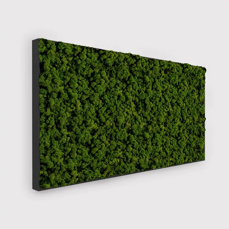  - MuffleMoss Rectangle - Reindeer Moss Wall Panel - Muffle Acoustics Limited 