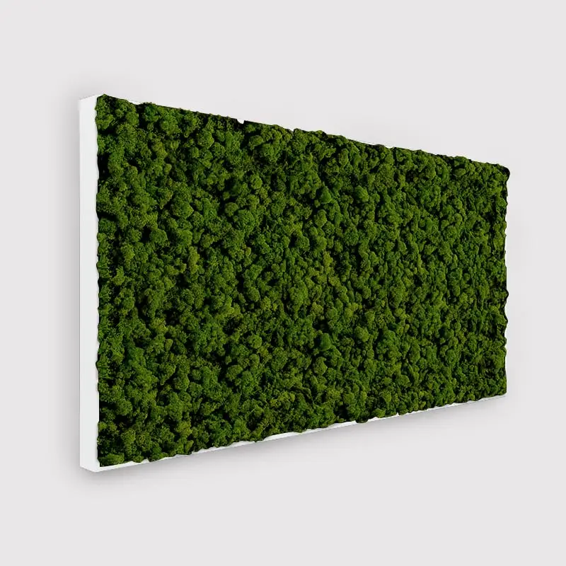  - MuffleMoss Rectangle - Reindeer Moss Wall Panel - Muffle Acoustics Limited 