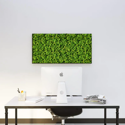  - MuffleMoss Rectangle - Reindeer Moss Wall Panel - Muffle Acoustics Limited 