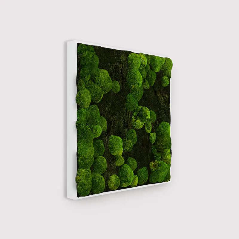 Muffle Acoustics Limited - MuffleMoss Square - Bun & Woodland Moss Wall Panel - Muffle Acoustics Limited 