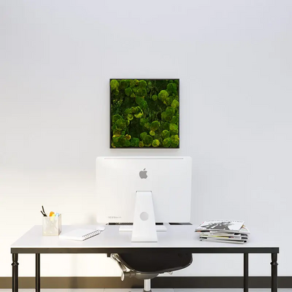  - MuffleMoss Square - Bun & Woodland Moss Wall Panel - Muffle Acoustics Limited 