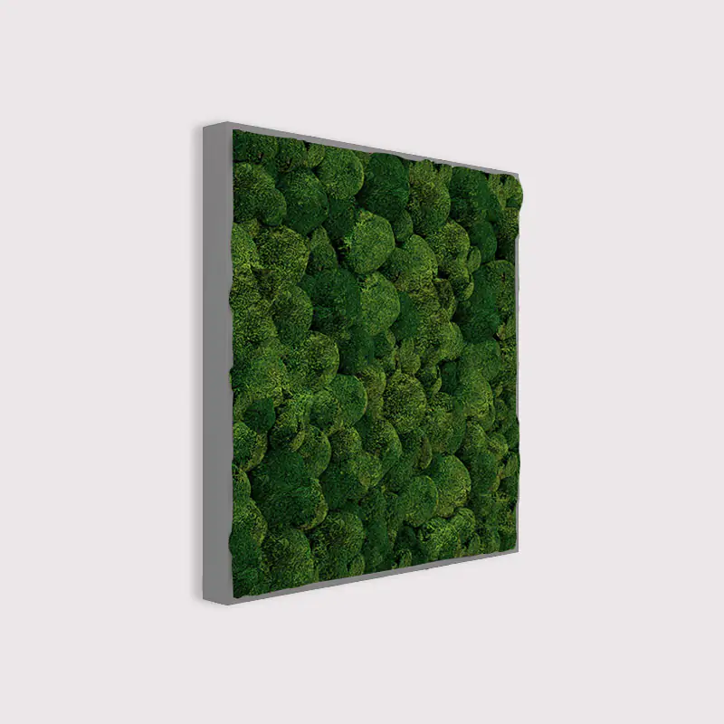 Muffle Acoustics Limited - MuffleMoss Square - Bun Moss Wall Panel - Muffle Acoustics Limited 