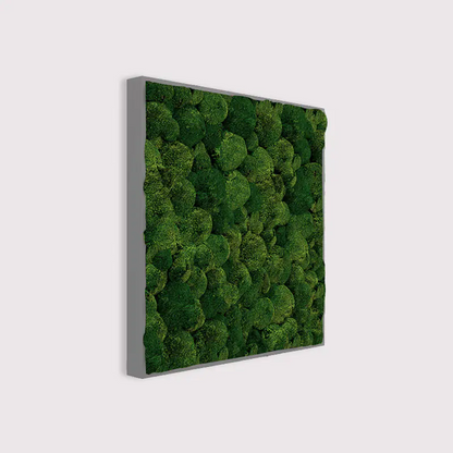 Muffle Acoustics Limited - MuffleMoss Square - Bun Moss Wall Panel - Muffle Acoustics Limited 