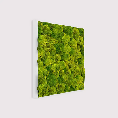  - MuffleMoss Square - Bun Moss Wall Panel - Muffle Acoustics Limited 