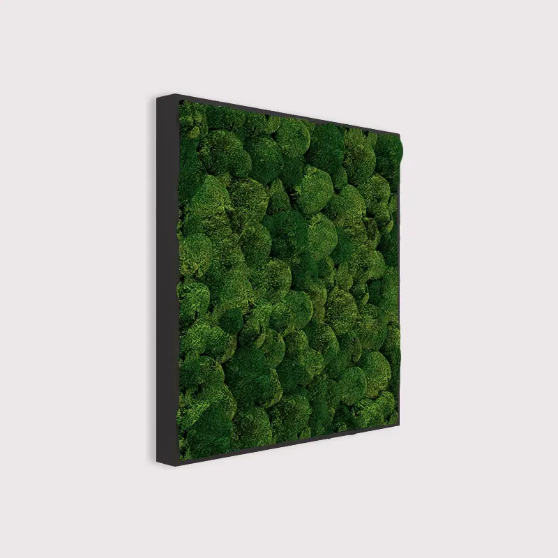  - MuffleMoss Square - Bun Moss Wall Panel - Muffle Acoustics Limited 