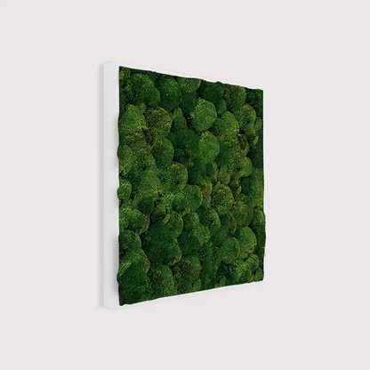  - MuffleMoss Square - Bun Moss Wall Panel - Muffle Acoustics Limited 