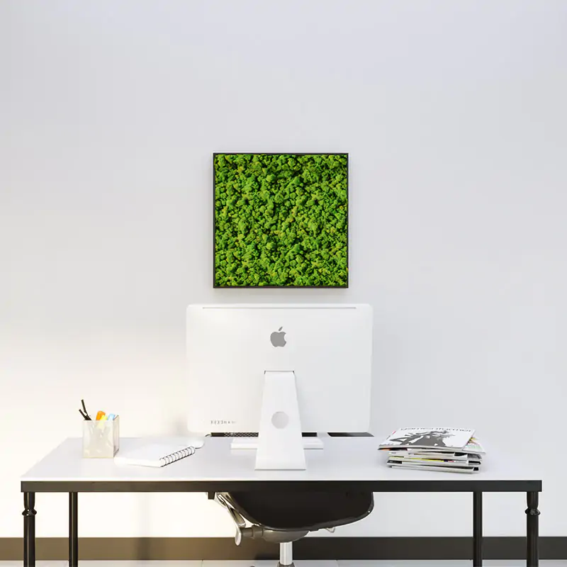  - MuffleMoss Square - Reindeer Moss Wall Panel - Muffle Acoustics Limited 