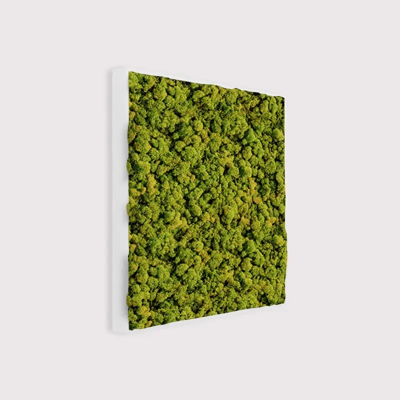  - MuffleMoss Square - Reindeer Moss Wall Panel - Muffle Acoustics Limited 