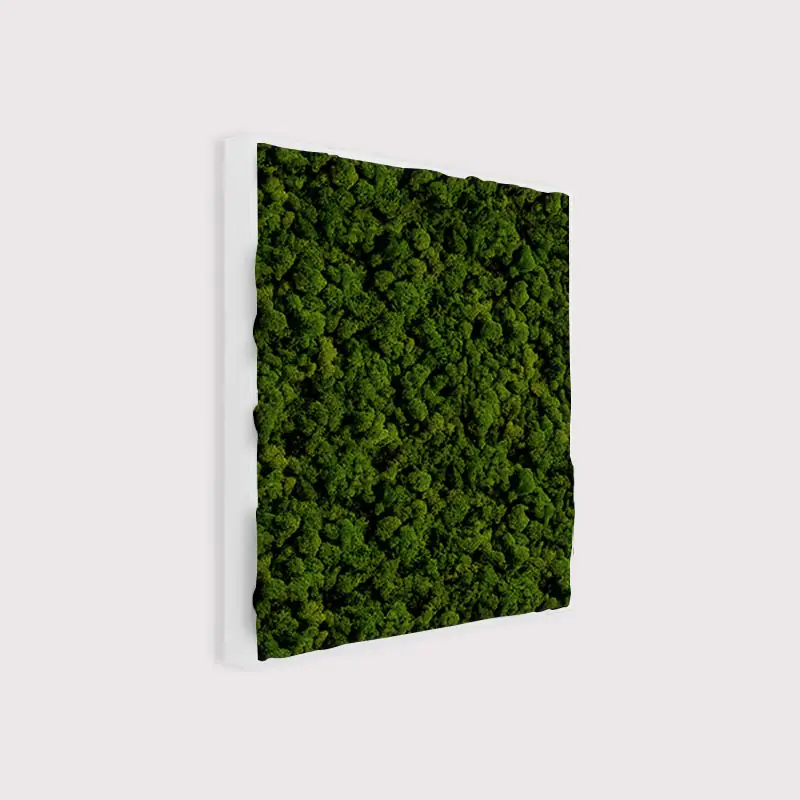  - MuffleMoss Square - Reindeer Moss Wall Panel - Muffle Acoustics Limited 